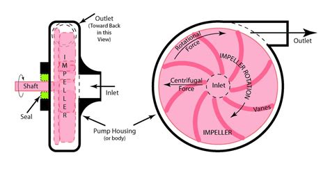 direction of rotation of centrifugal pump|centrifugal pump running backwards.